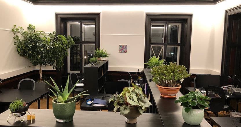 Am Burggarten - Workspace Vienna interior photo 3