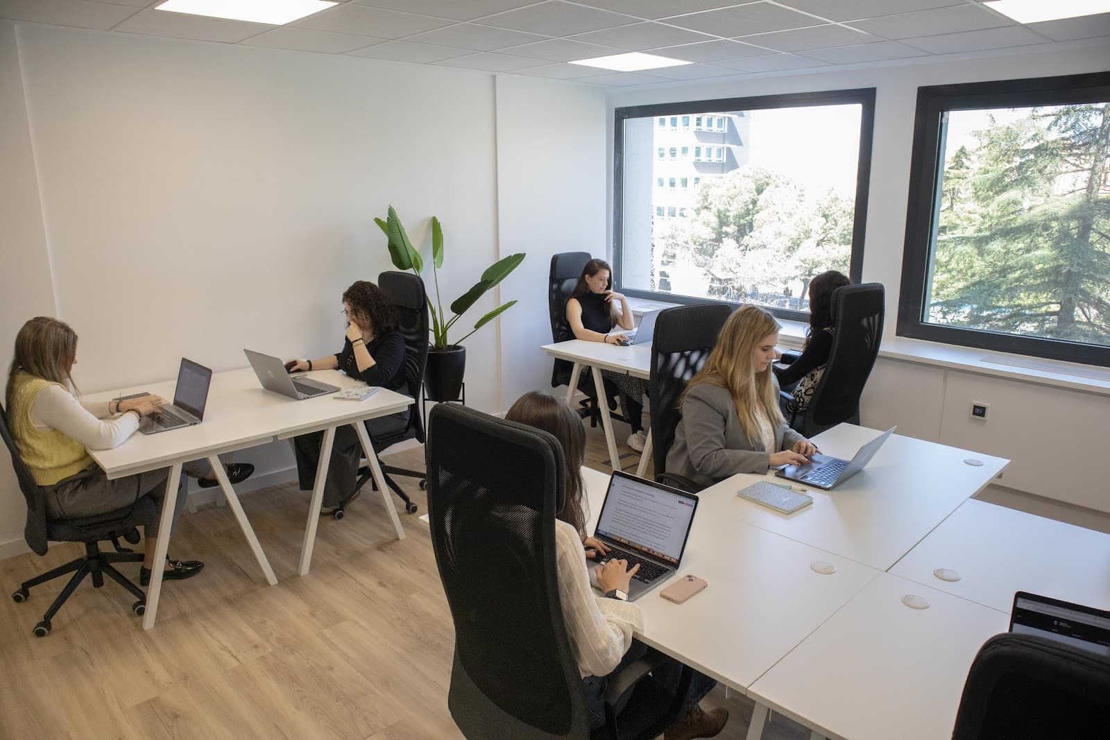 Cink Coworking Condesa de Venadito