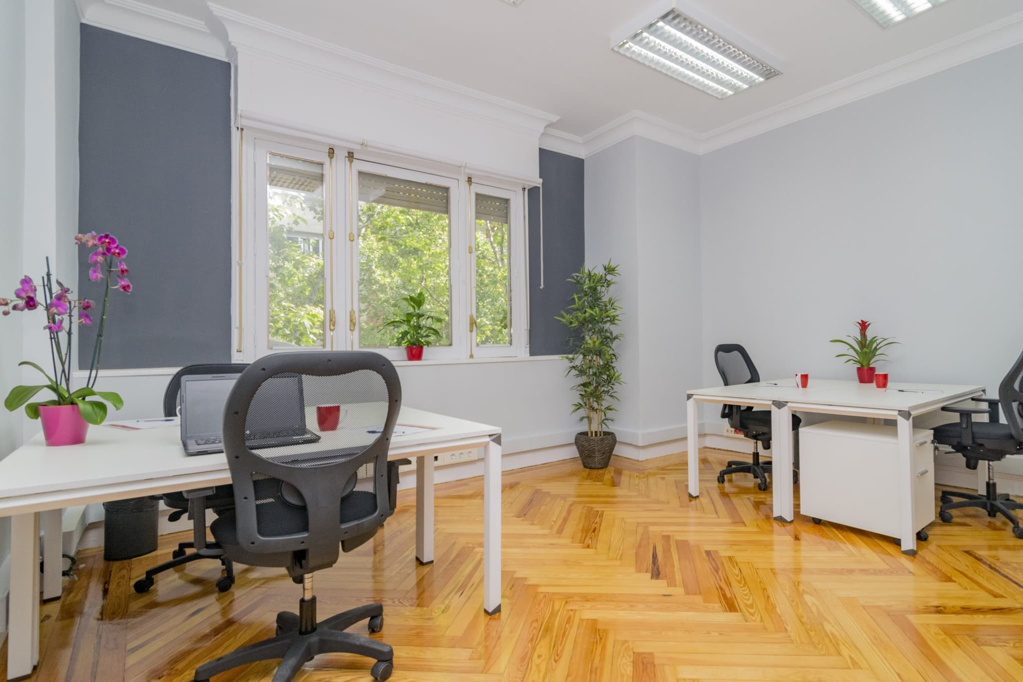 Inspira Workspaces Abascal