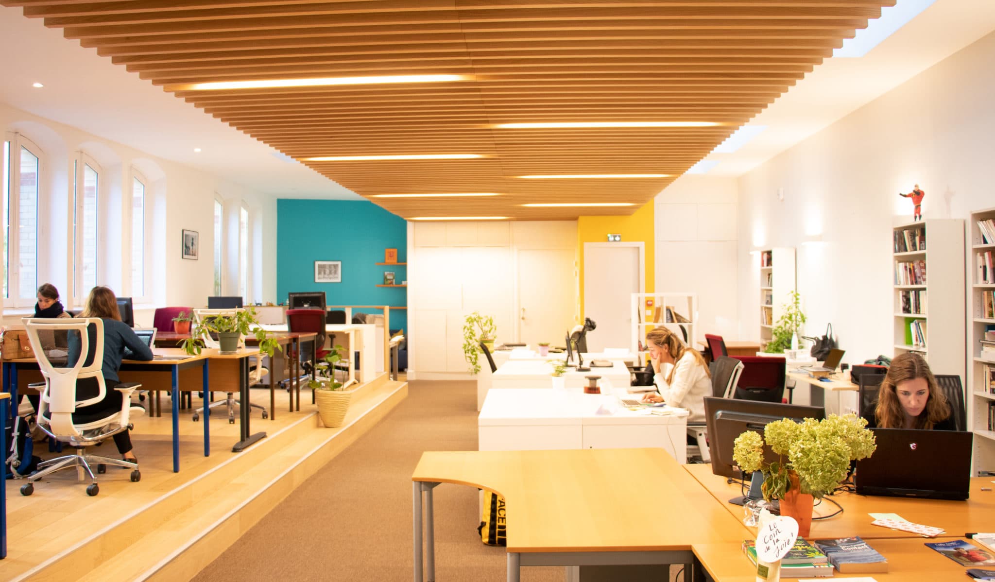 Cowork Magis