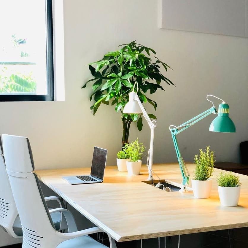 Tropi Coworking interior photo 6