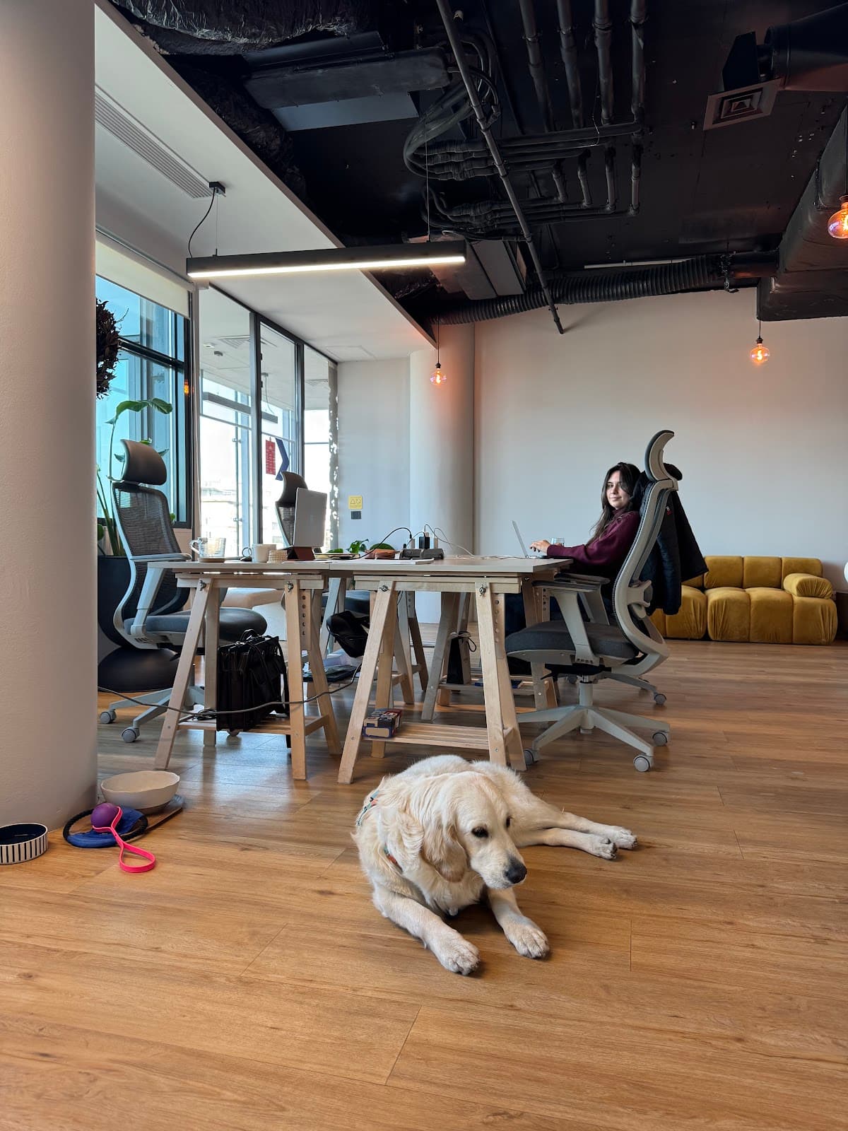 V7 Startup Studio Opera interior photo 3