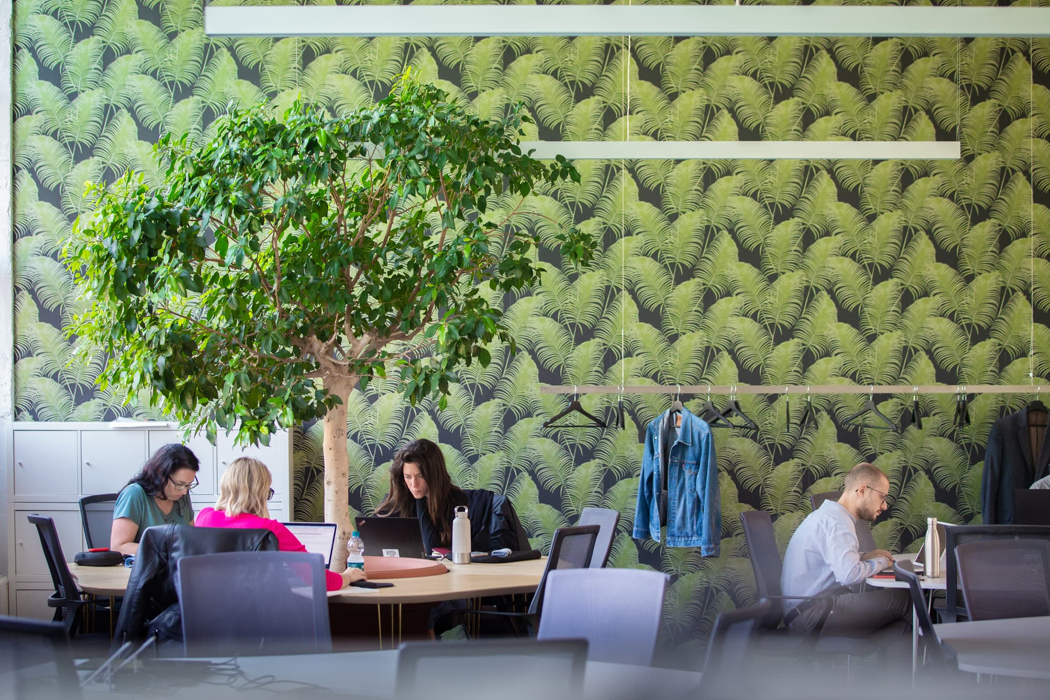 Torino Toolbox Coworking Day Pass - Flexible Workspace & Networking in Centro