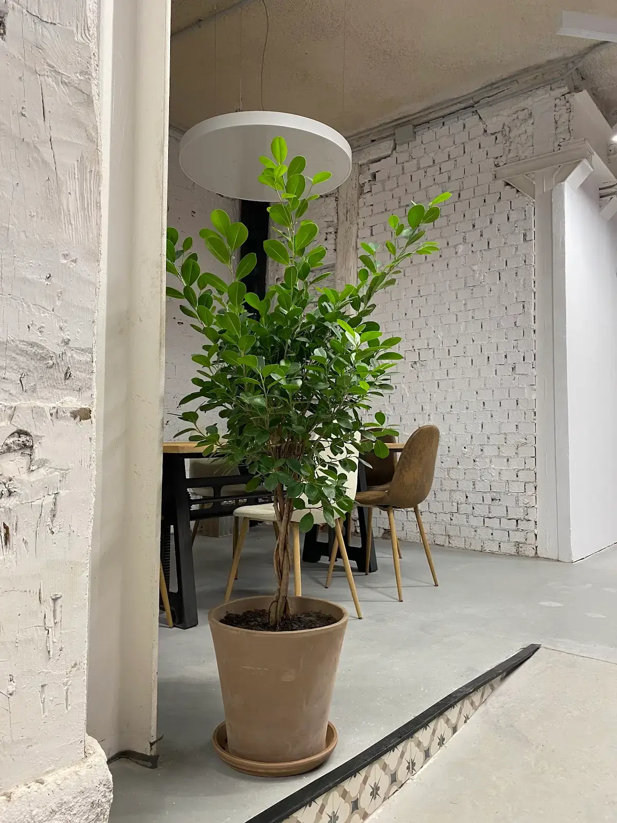 C9 SMART HUB interior photo 4