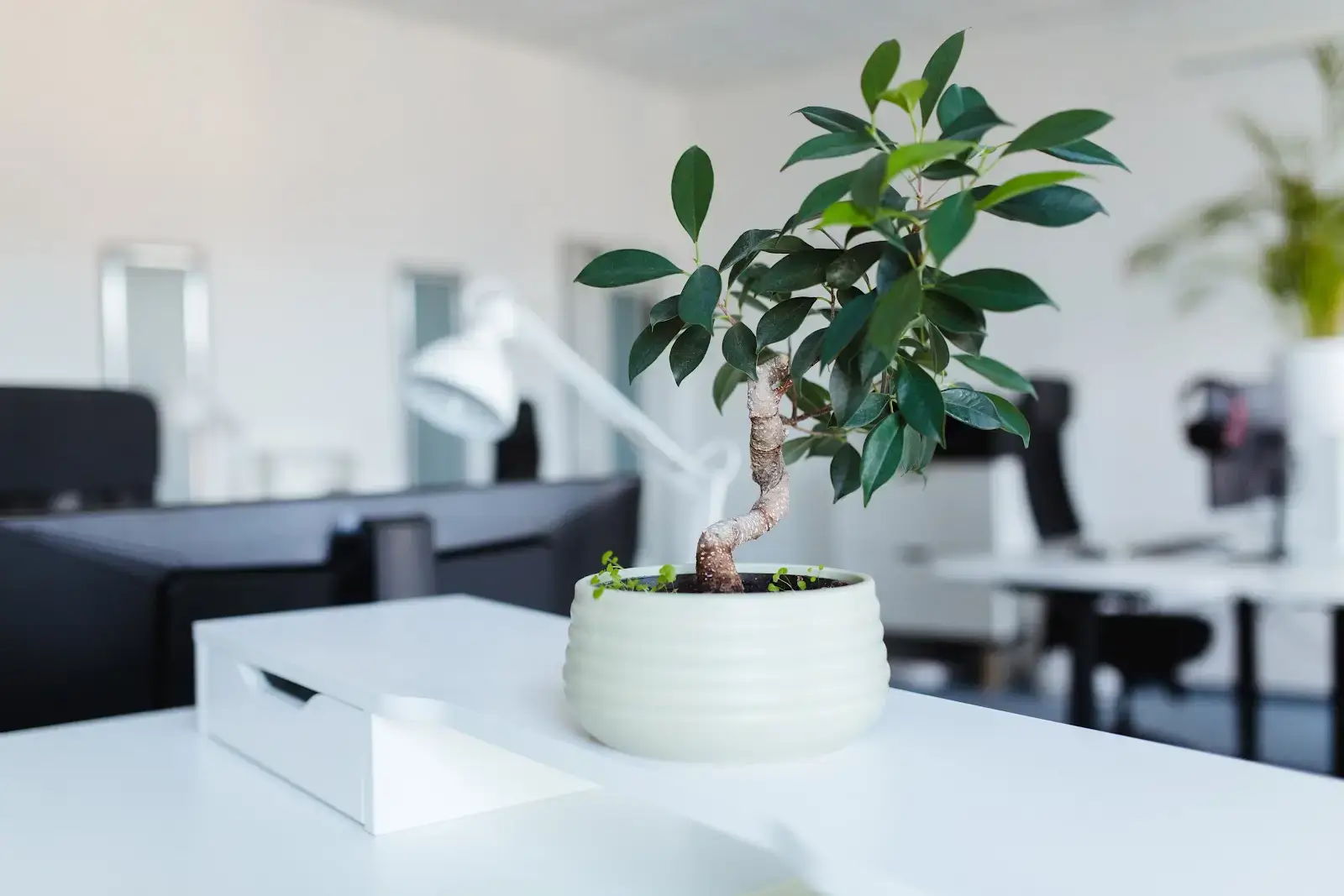 Coworking4You Jena interior photo 2