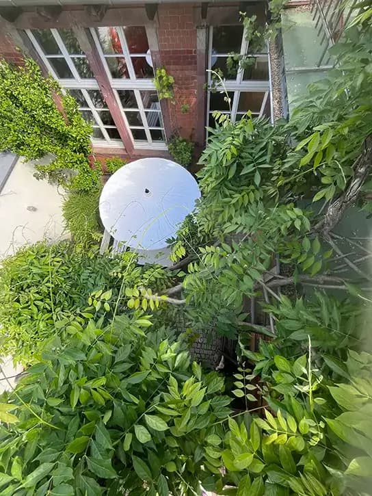 KONRAD RAUM interior photo 4