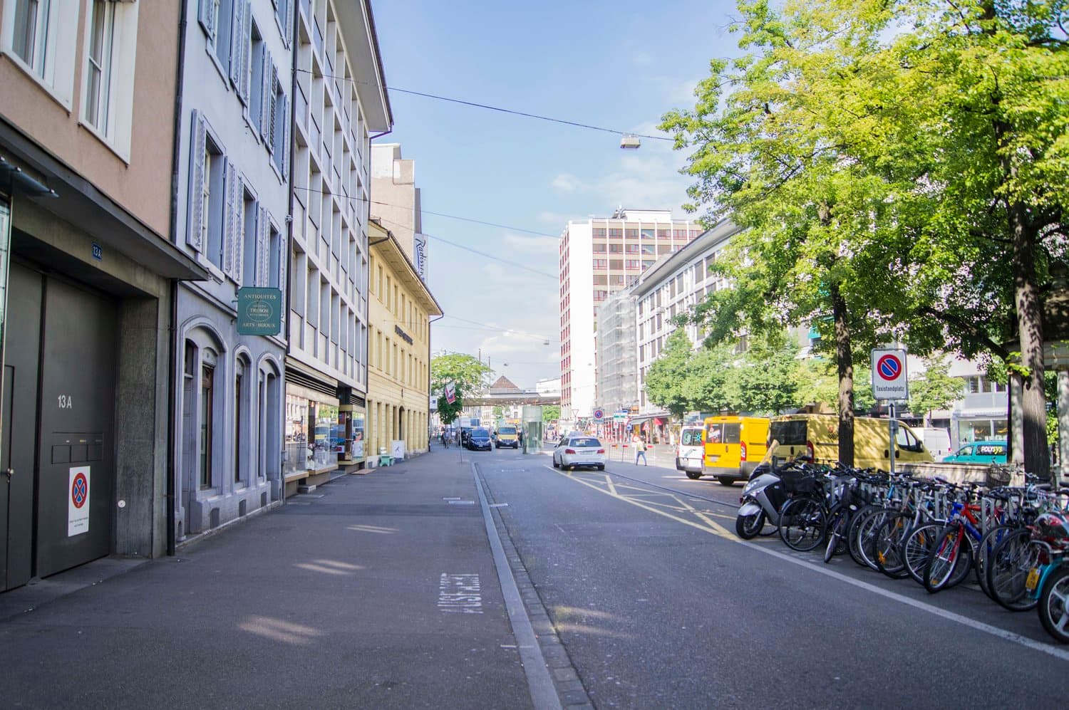 RHIZOM interior photo 10