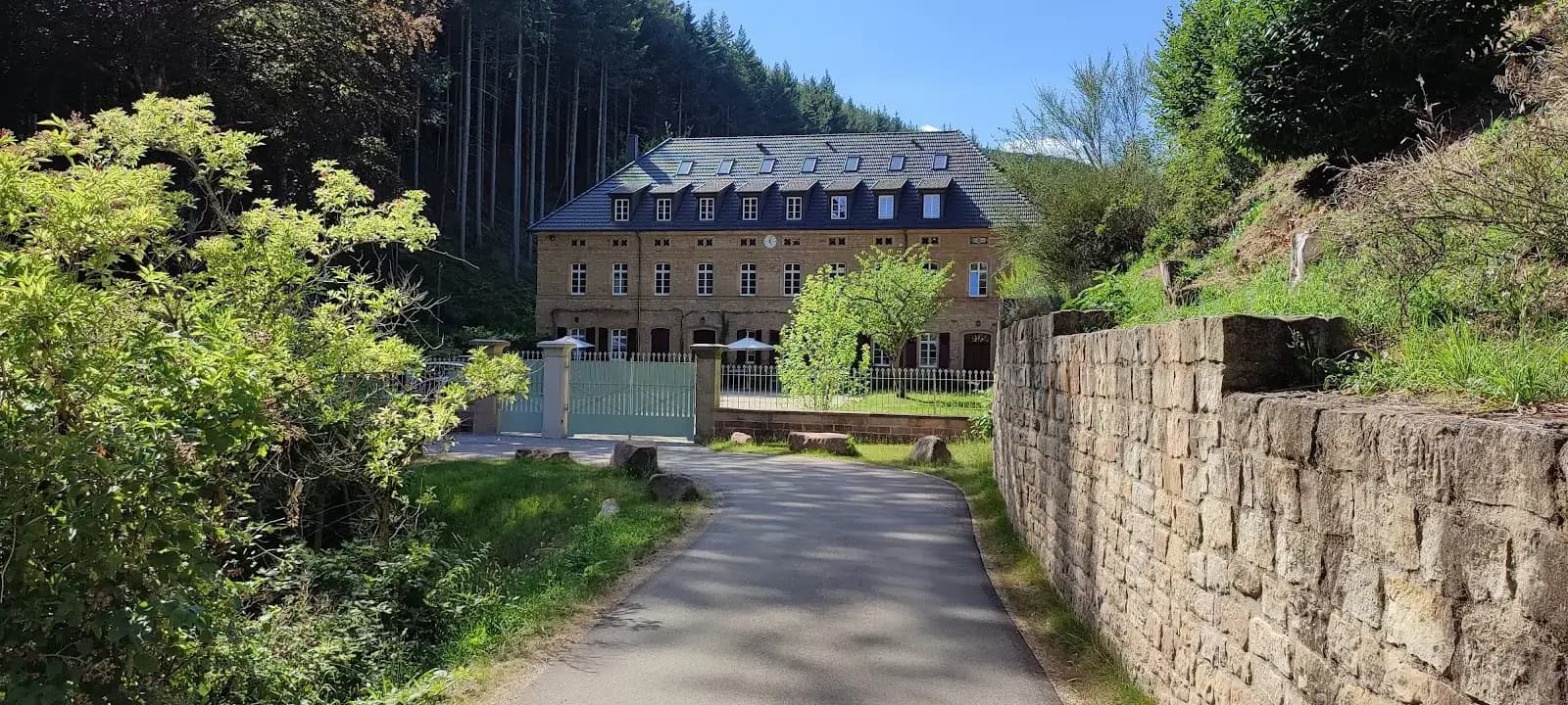 Goodspaces Forest Retreat interior photo 4