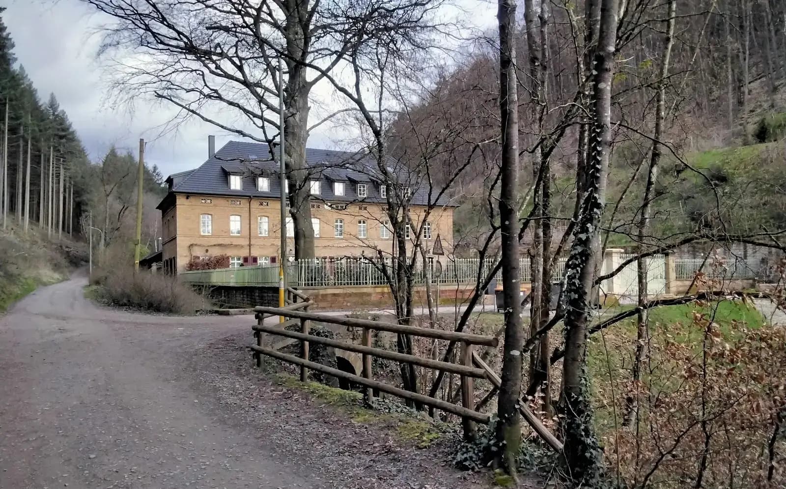 Goodspaces Forest Retreat interior photo 6