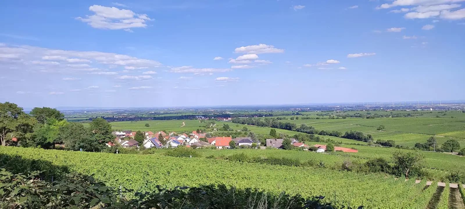Goodspaces Forest Retreat interior photo 3