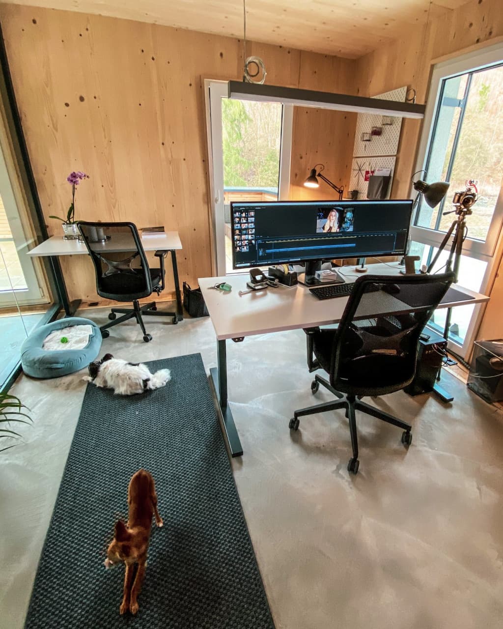 OFFICE & FRIENDS interior photo 4