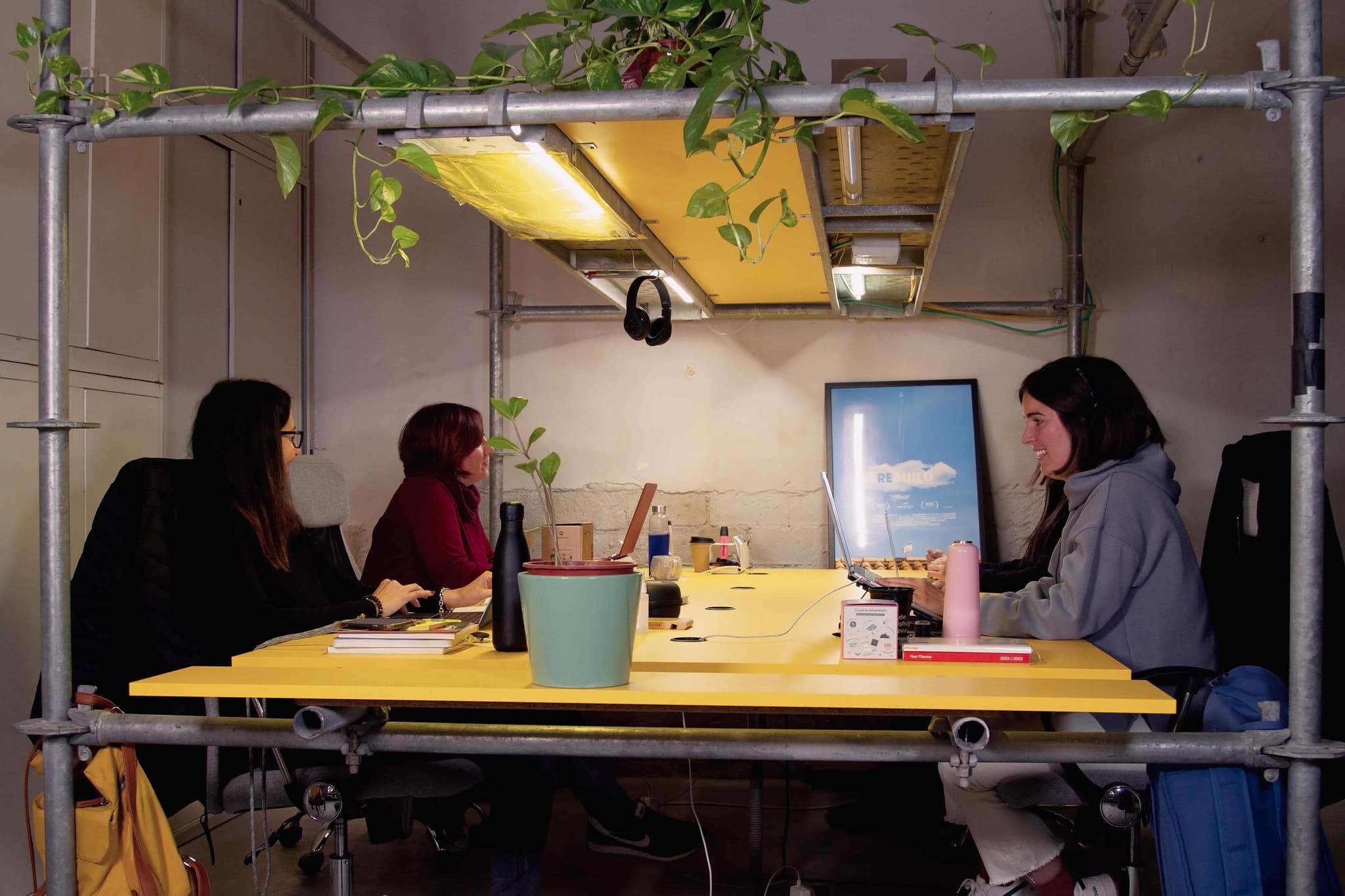 NOLICH interior photo 3