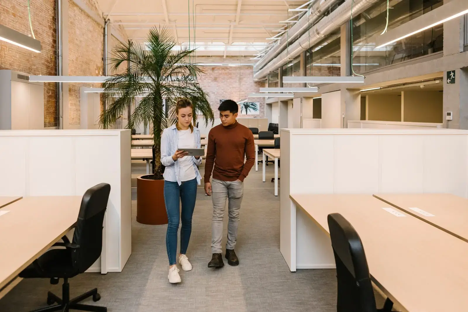 NewWork Coworking & Workspace - Oficinas - Despachos interior photo 2