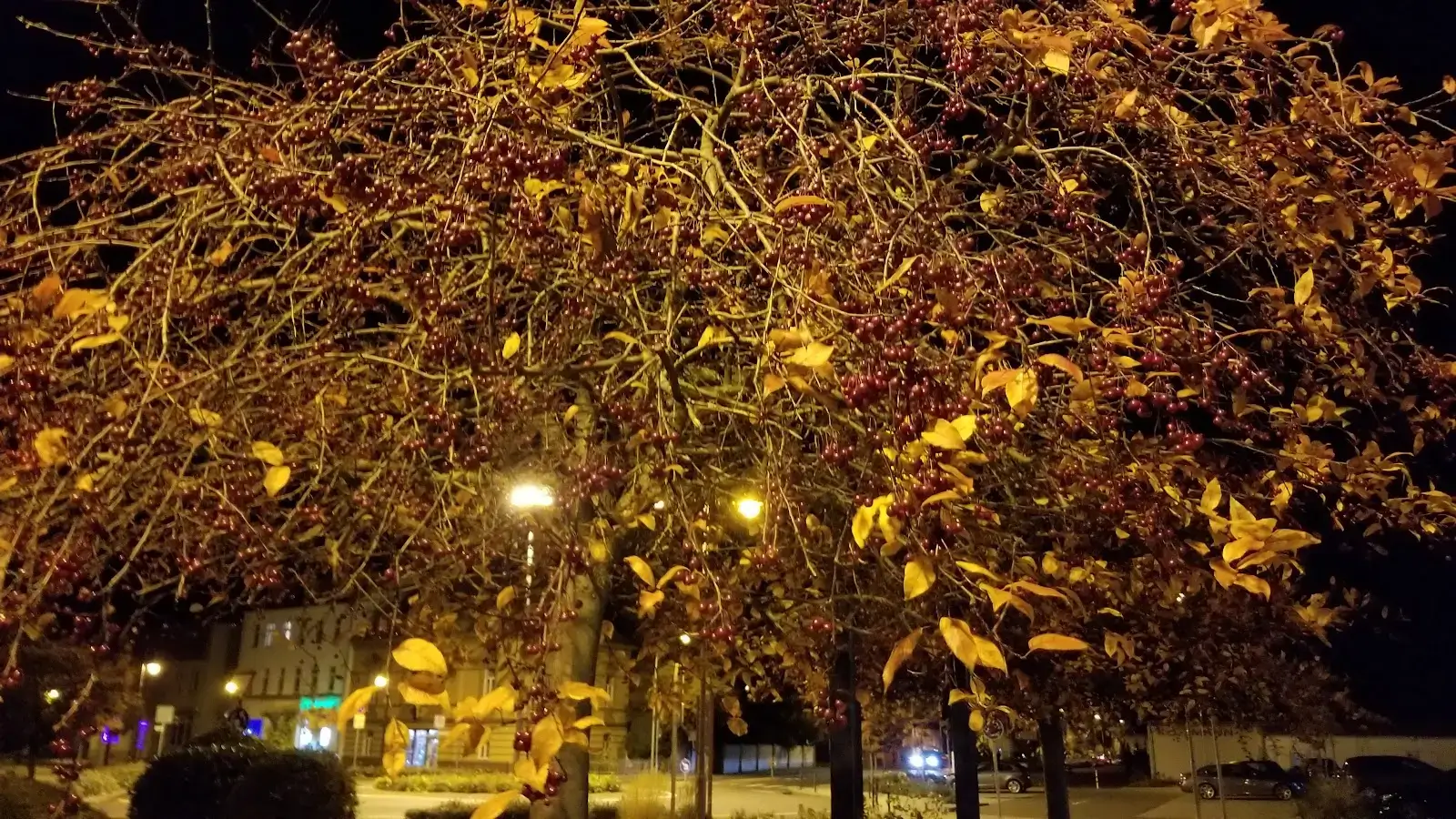 Regus Delitzsch Eisenbahnstraße 14 interior photo 10