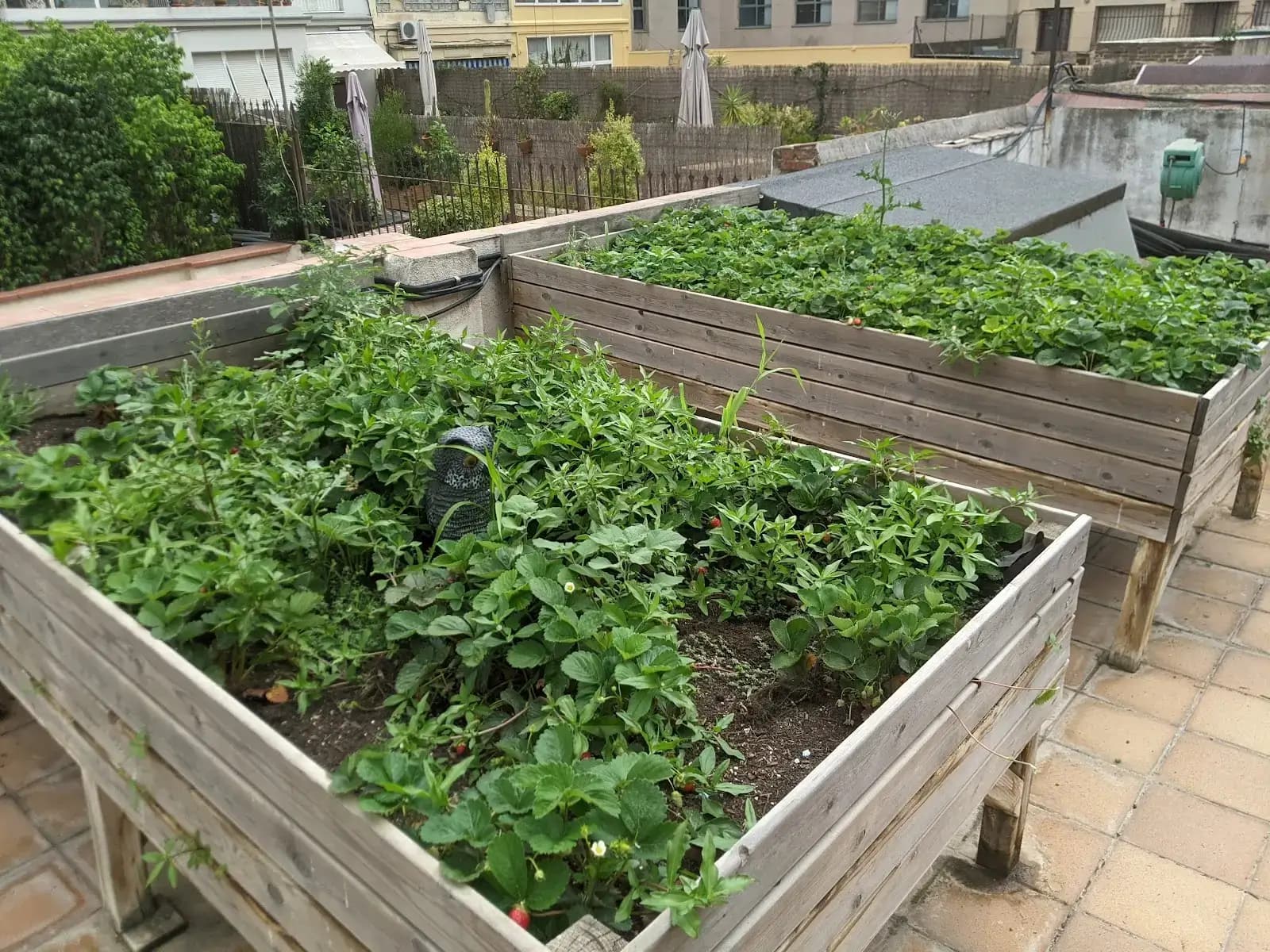 Cowork Rambla Catalunya - Coworking Barcelona interior photo 5