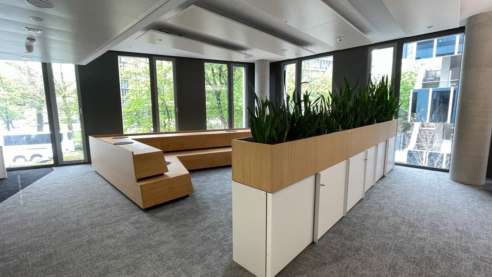 Scaling Spaces - Sono West interior photo 9