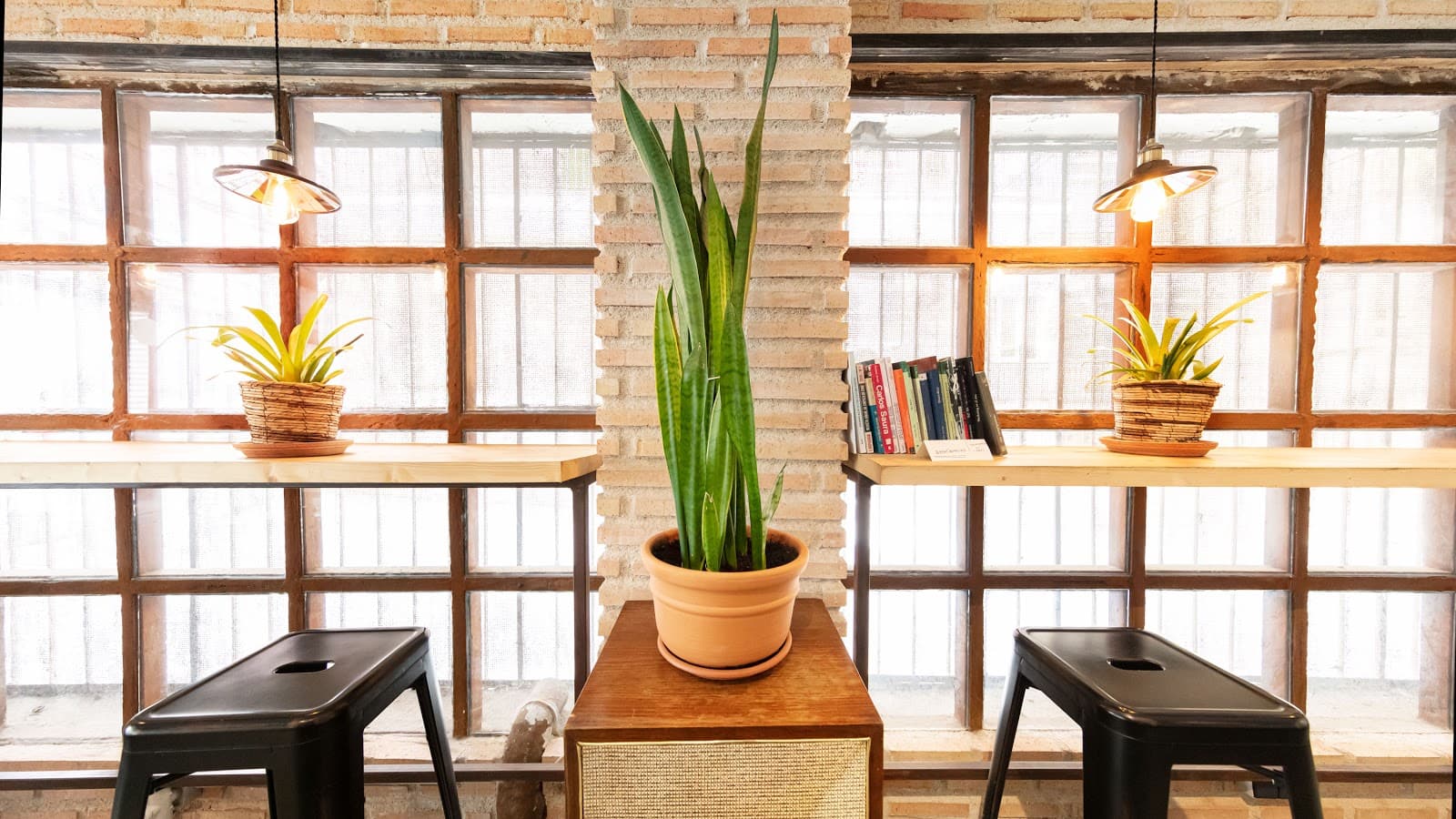 MODO Coworking interior photo 5