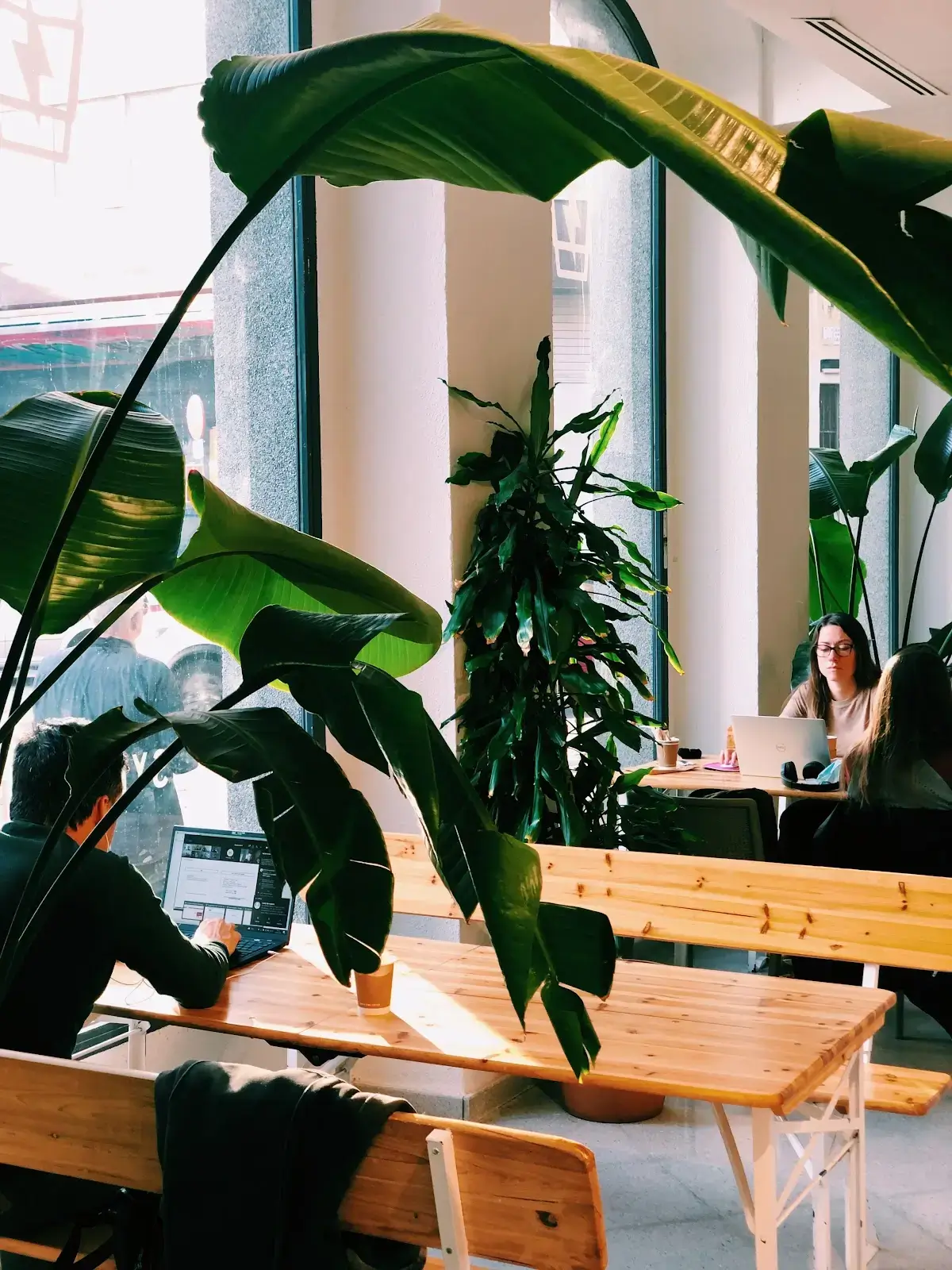 Itnig Coworking interior photo 5