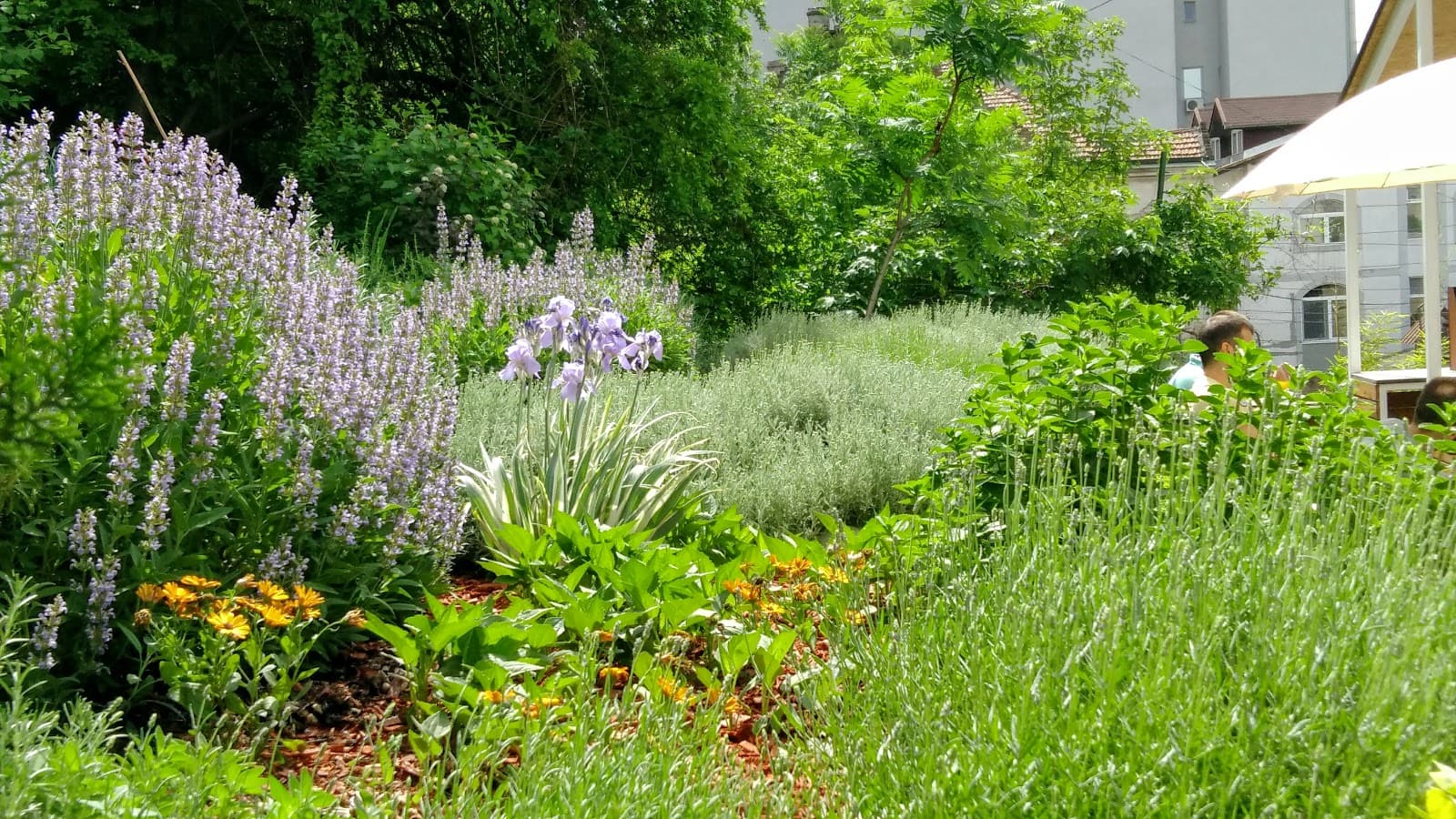 Nova Iskra Savamala interior photo 14