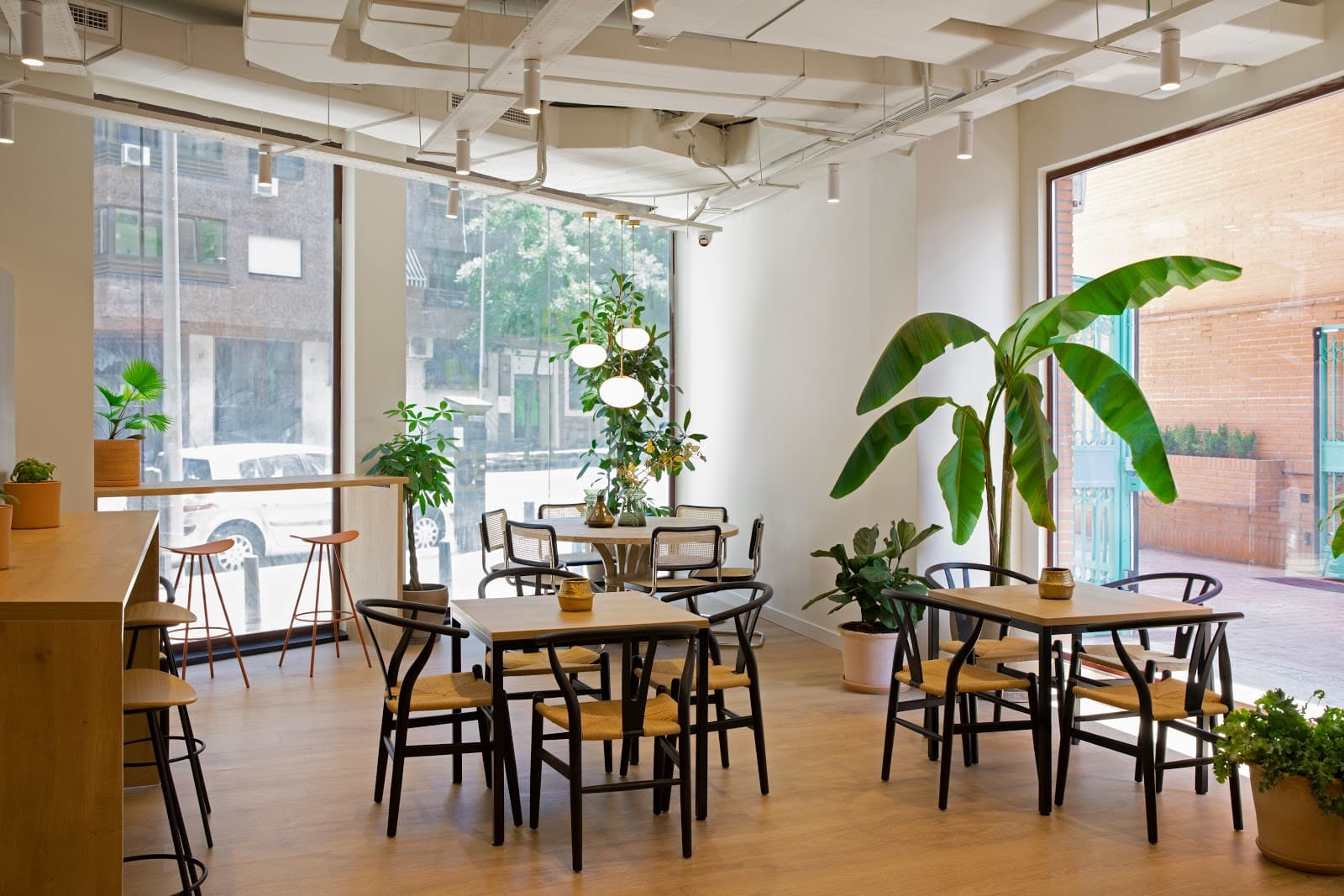 Monday Rio interior photo 2