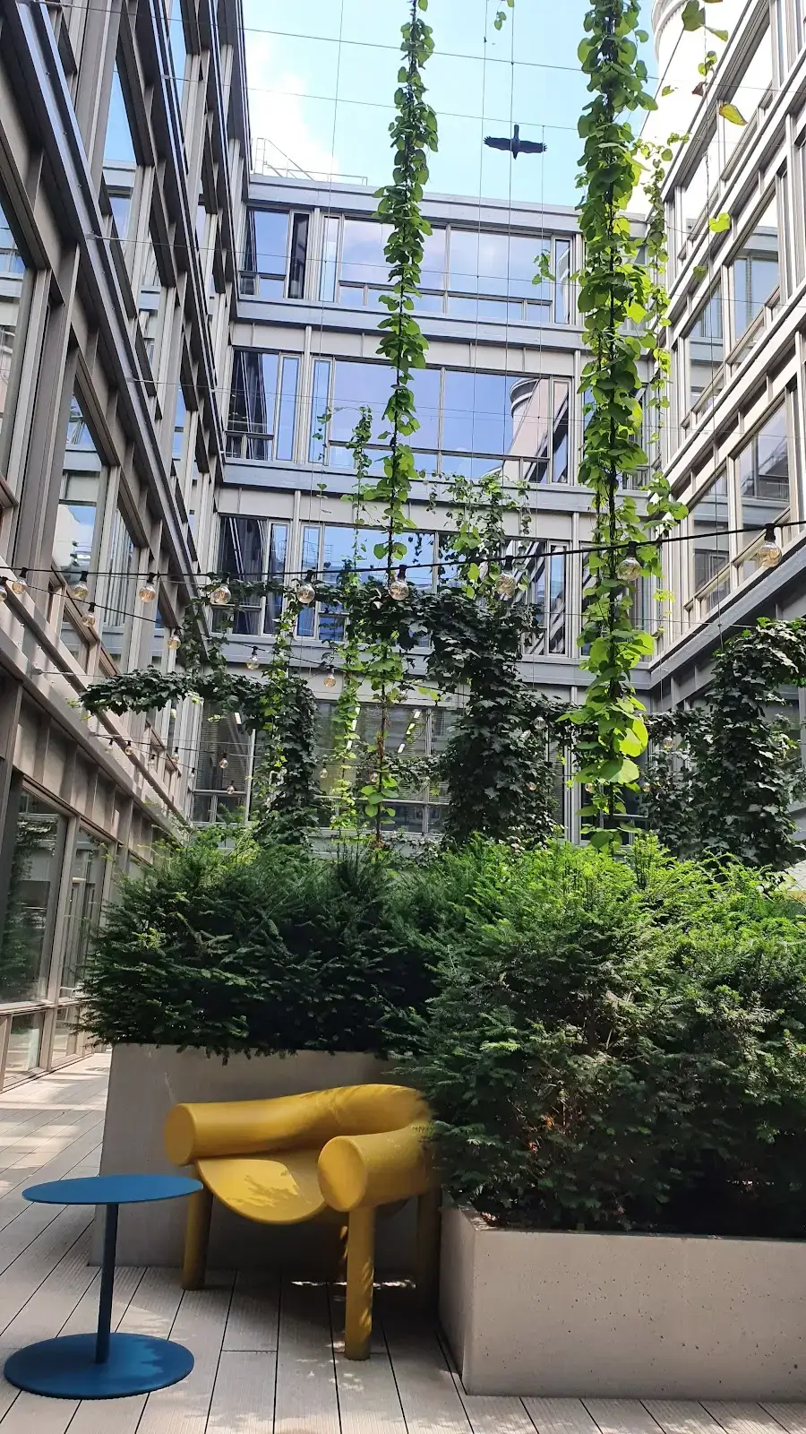 WeWork Krucza 50 interior photo 7