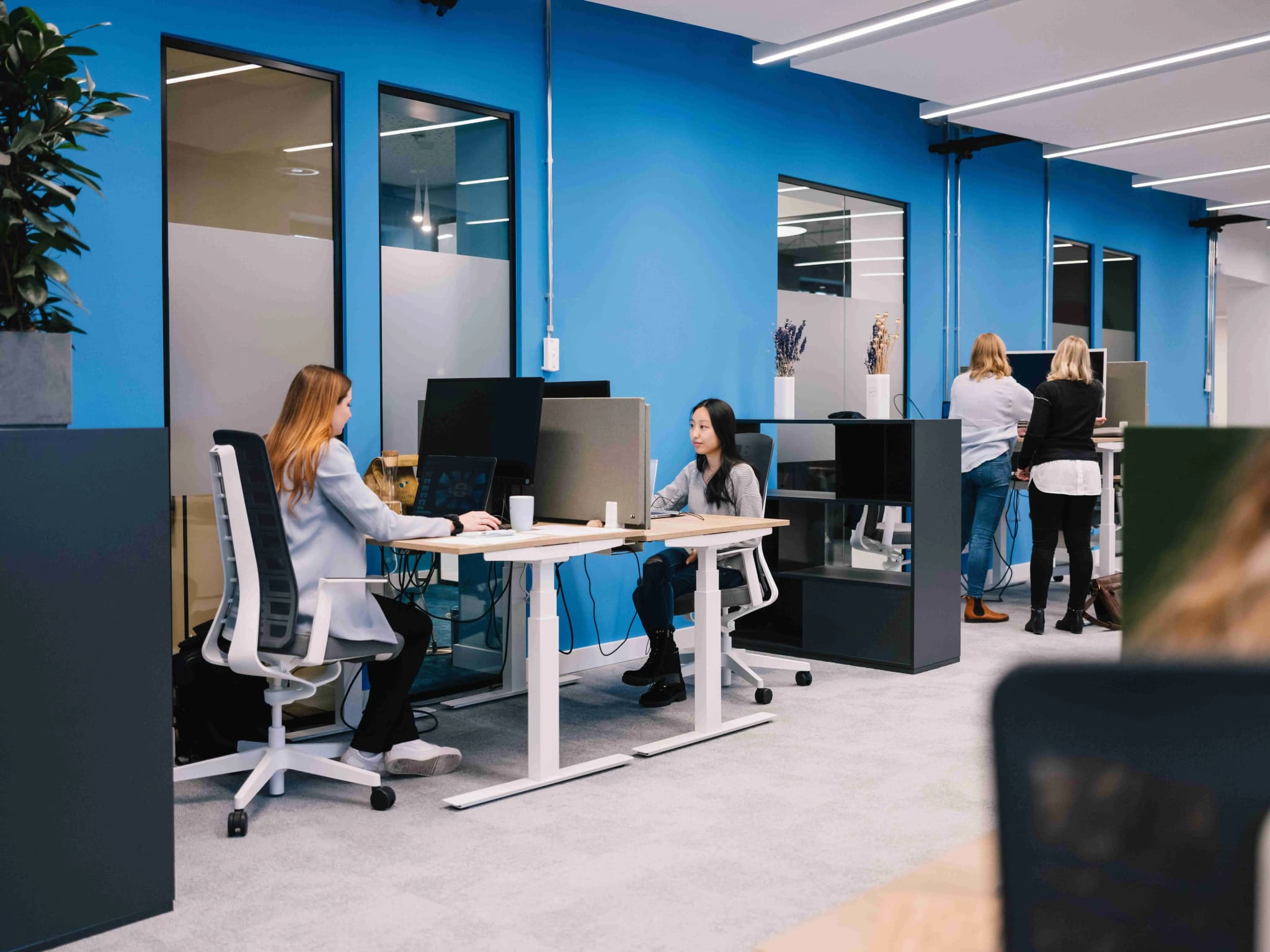 1000 Satellites Taylor interior photo 2