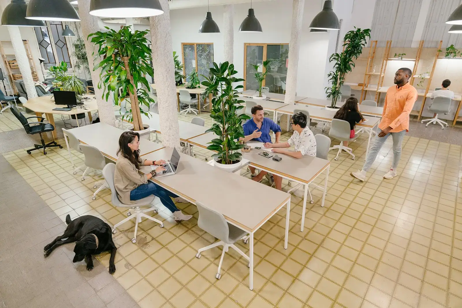 MOB Bailèn - Coworking and Office Space interior photo 2