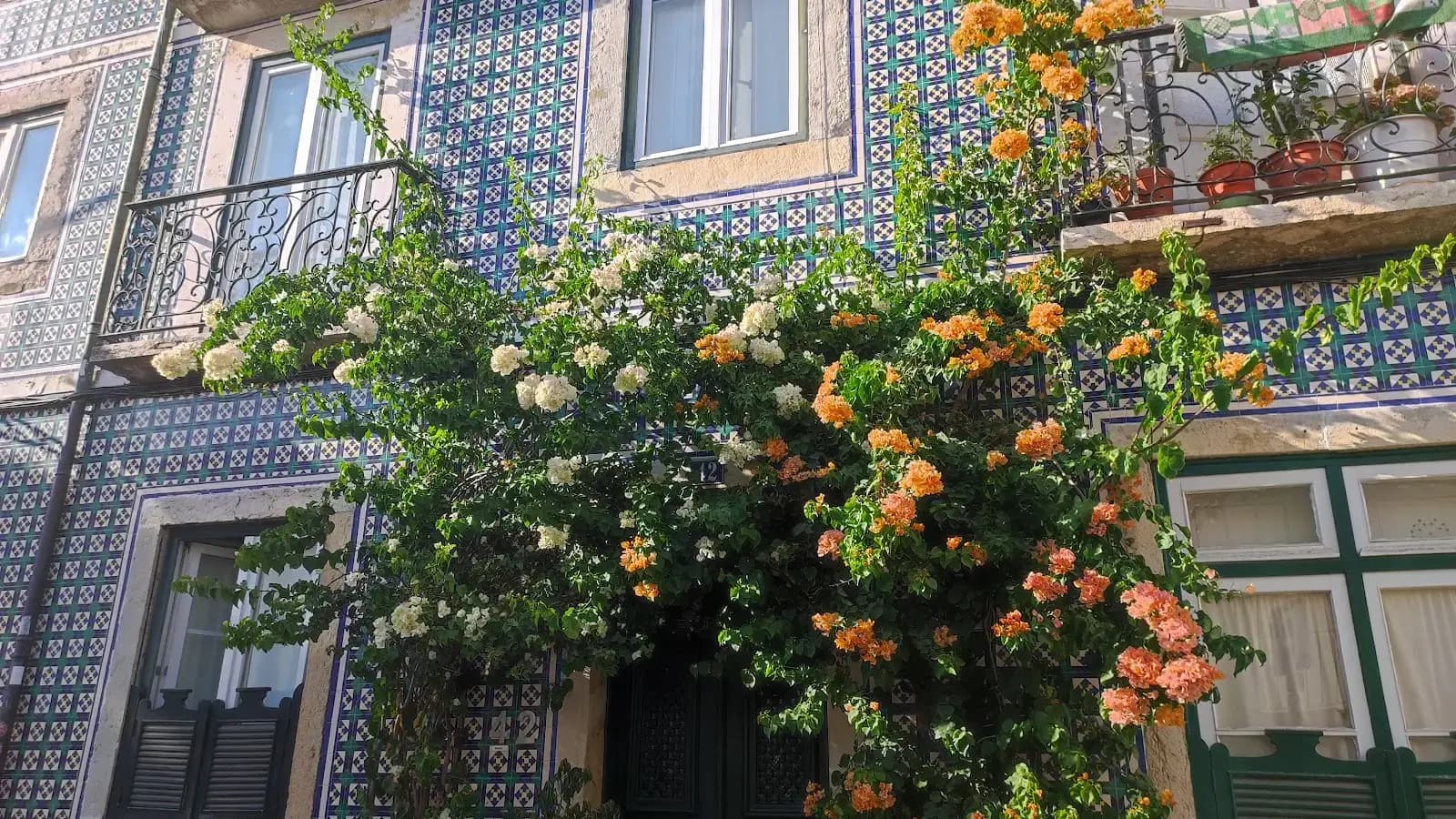 Outsite Lisbon interior photo 10