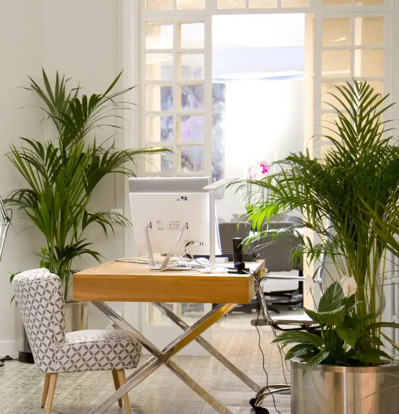 Coworking Wekow Balmes y Rosselló interior photo 8