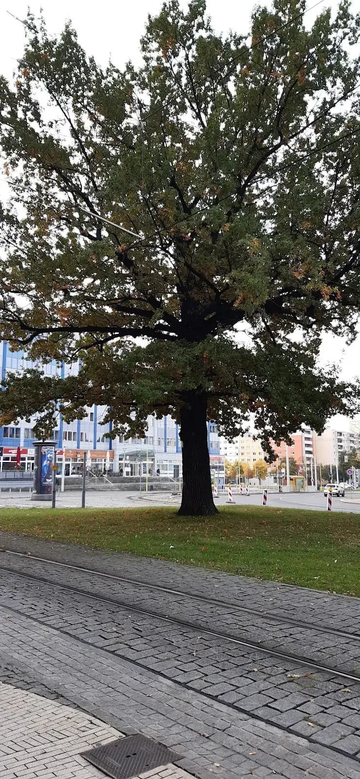 Regus Gera GERA Puschkinplatz interior photo 5