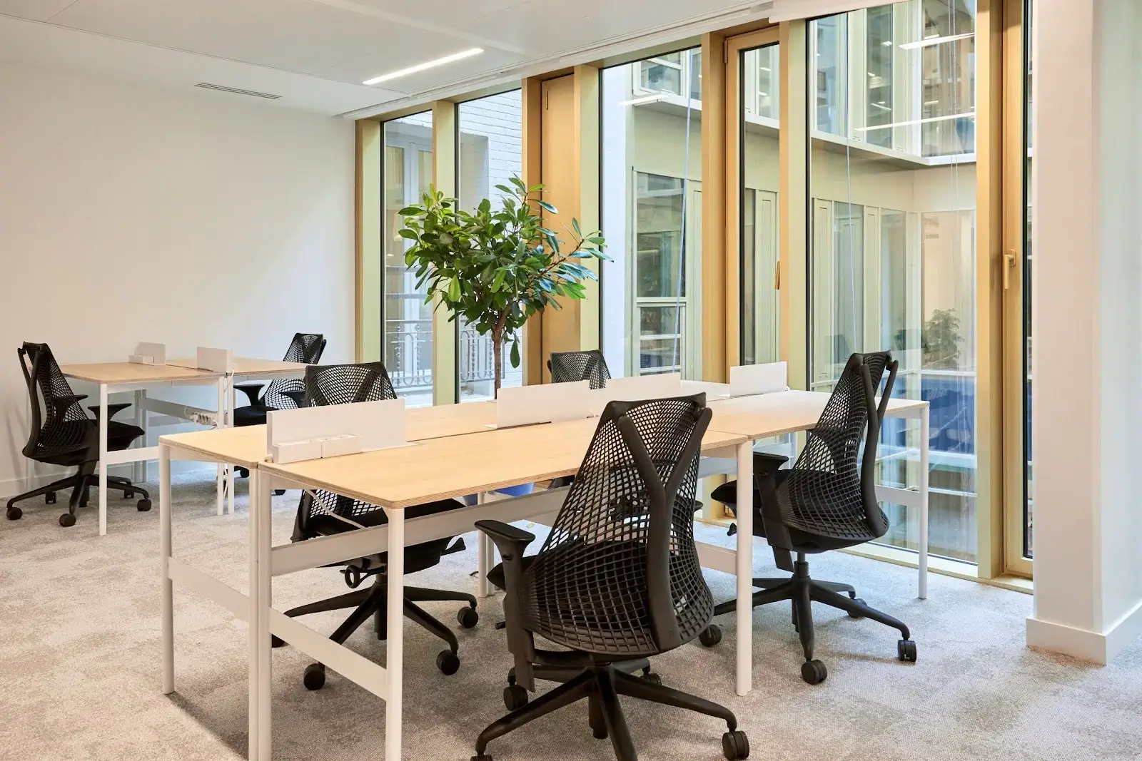 Morning, Bayard interior photo 5