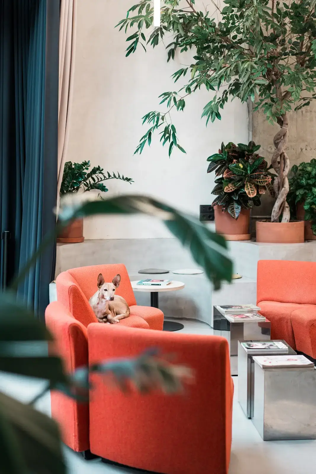 Area Coworking interior photo 3