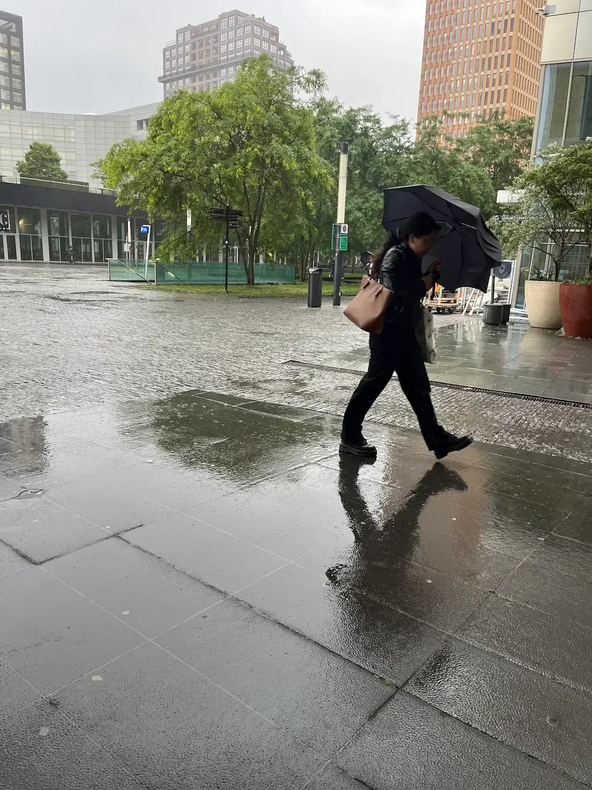 Tribes Amsterdam South Axis ITO interior photo 8