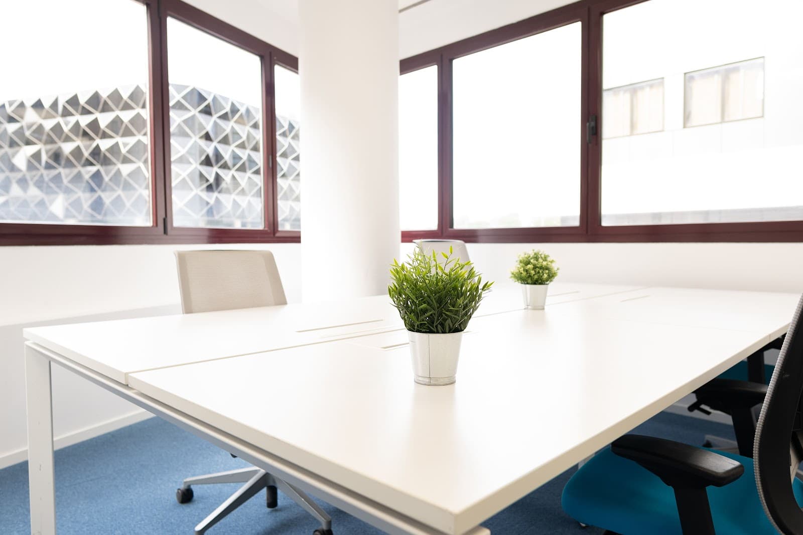 MyCoworking Las Tablas interior photo 7