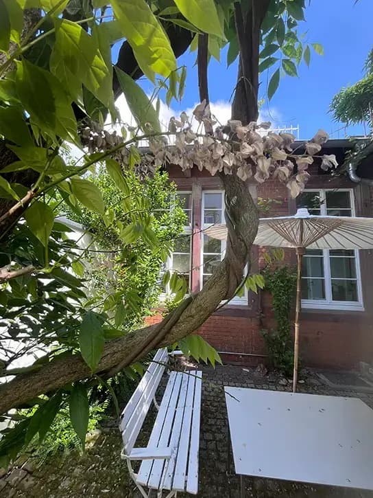 KONRAD RAUM interior photo 2