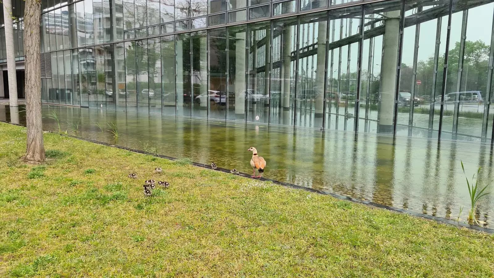 Regus Frankfurt Lyoner Stern interior photo 2