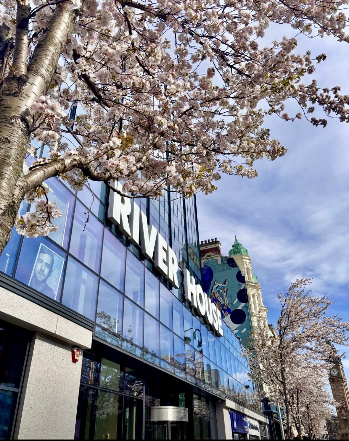 Clockwise Belfast - Coworking & Office Space interior photo 9