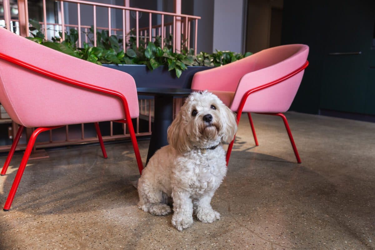 Clockwise Wood Green, London - Coworking & Office Space interior photo 4