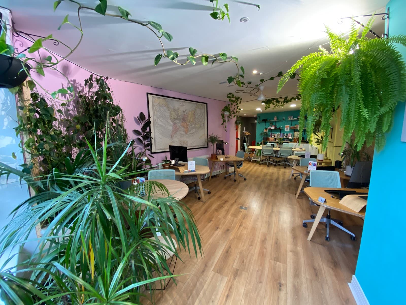 Impact Brixton interior photo 4