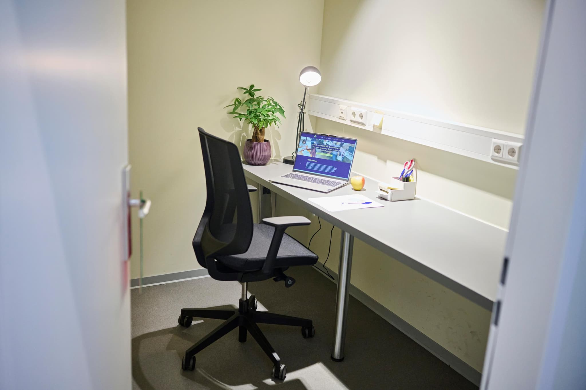 coco interior photo 8