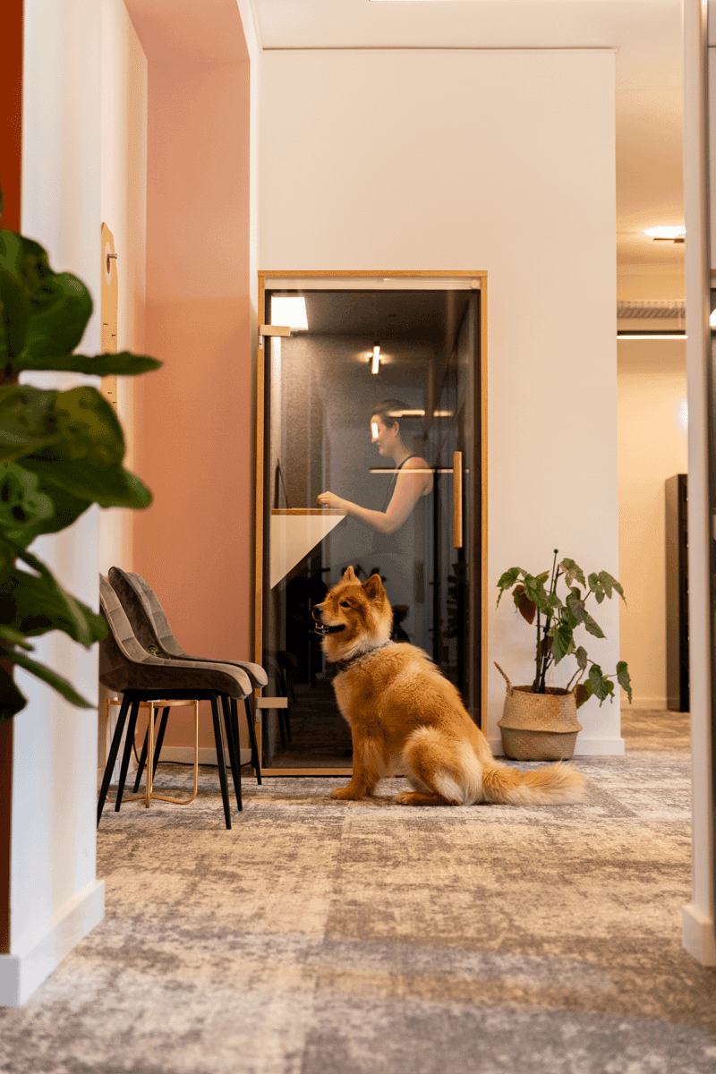 BEYDES New Working Culture interior photo 13